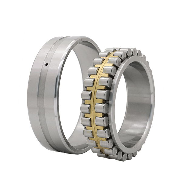 Cylindrical-Roller-Bearings--NN